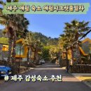 애월시크릿풀빌라 | 제주 애월 숙소 추천 가성비 좋은 애월시크릿풀빌라