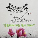 "흔들리며 피는 꽃이 되자!"("Let's become a flower that shakes and blooms!") 이미지