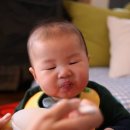이뜬이의 이유식 이야기(이웃공개)