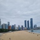 동백로 | 웨스틴 조선 부산 파노라마 라운지 애프너눈티 세트 후기 (ft.아시아나 KB국민 플래티늄 카드 바우처)