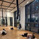 더바디선번지피지오