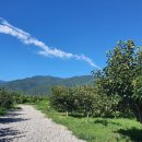 두꺼비농장 이미지