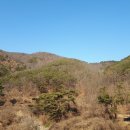 신세기공인중개사사무소 이미지