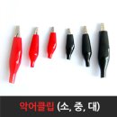 소 중 대 이미지