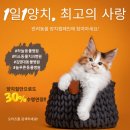 나성 펫 동물병원 이미지