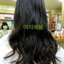 머리애봄 이미지