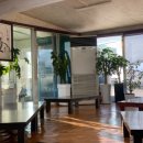 우성카도크 이미지