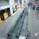 대화국제여행사 이미지