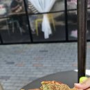 2087펜션 이미지