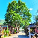 강가포근한집 이미지