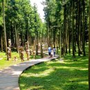 절물생태관리소 (절물자연휴양림) 이미지