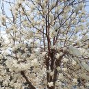 꾸지나무골 행복한 하우스 이미지