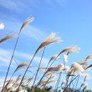 푸른마을 농수산 이미지