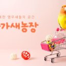 주식회사 리프패럿 이미지