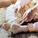 수채화A 이미지