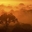 황금렌트카 이미지