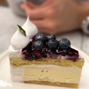 신산본빌딩 | 산본 치즈케이크 맛집 추천｜카페더치즈케익 산본점 후기