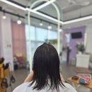 영주헤어 - 북구 | 영주미용실 엘르리헤어 붙임머리 받고 온 후기