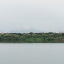 2025. 10. 04, 코스모스 가득한 구리한강시민공원/ 헤라 44km / 디아 34km 이미지