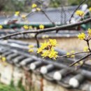 골든힐폼 이미지