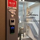 웨딩코리아 | [W-03] 웨딩링 졸업, 블루머코리아 웨딩링 계약 후기