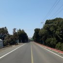 성읍1리사무소 이미지