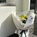 이브피아제