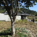 다보경로당 이미지