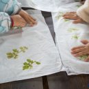 아이자리 이미지