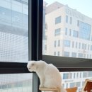 묘한호텔 이미지