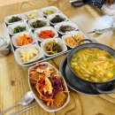 산호애견 이미지