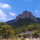 (주)삼화여행사