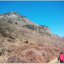녹색산장펜션