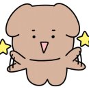 태닝더테라스