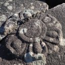 호텔계룡 이미지