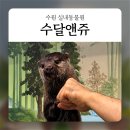 알곡어린이집 - 전주시 덕진구 | 수원 실내동물원 데이트 : 수달앤쥬 🐾 아이와 함께 가볼만한 곳