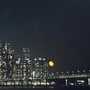 우린 낭만이란 배를 타고