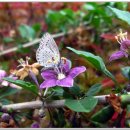 백마공원 이미지