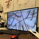 개운한 | 군포두피케어 아미치0.3에서 개운한 트러블케어 후기