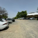 자인계정숲(씨름장) 이미지