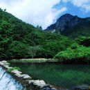 징검다리 이미지