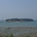 바다 어울림 이미지