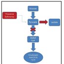 잠실미소약국 이미지
