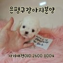 은평-045 이미지