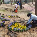 소요초등학교 이미지