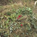 놀부농장 이미지