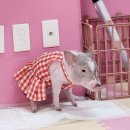 피그월드 이미지