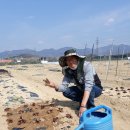 주혜농장 이미지