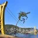 장성호 출렁다리(넘실정) 이미지