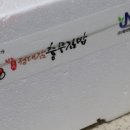정대감충무김밥 - 북구 금곡대로 175 | 정대감충무김밥